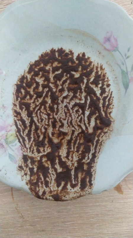 Falima bakar mısınzz?