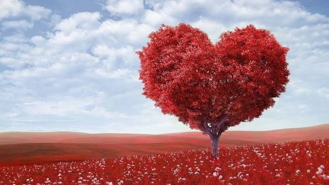 Ondan başka bir şey düşünemiyorum dediğiniz biri var mı?