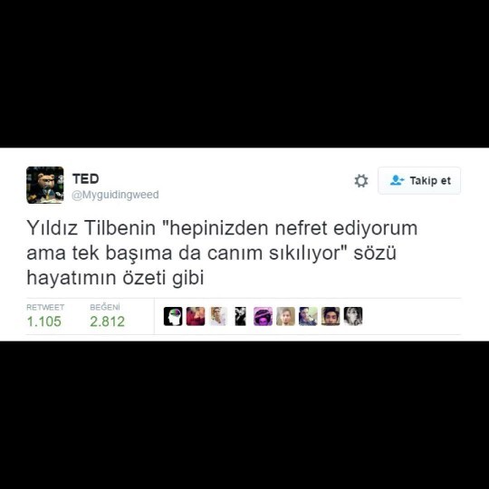 Hayatınızın özetinde hangi cümle var?