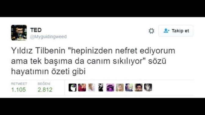 Hayatınızın özetinde hangi cümle var?