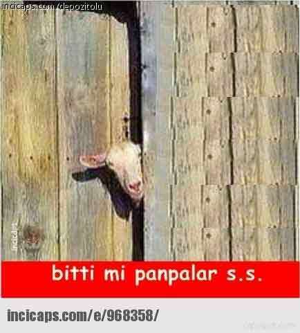 Tünaydın kaça halkı ne yapıyorsunuz?
