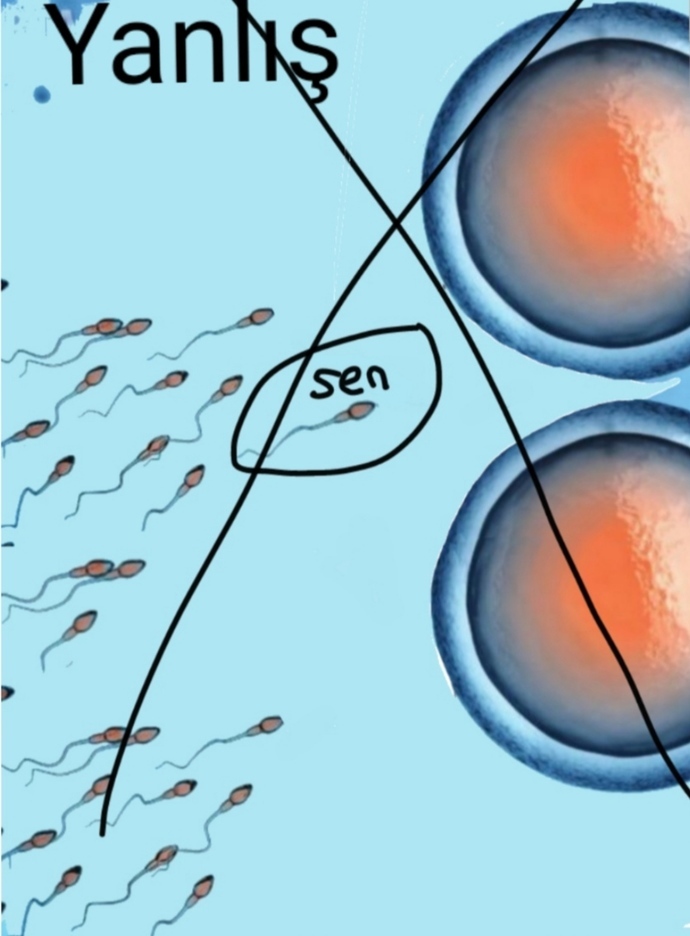 Sen sperm olarak yarışmadın çünkü sen hiç bir zaman sperm değildin (açıklamada ) bunu biliyormusun?