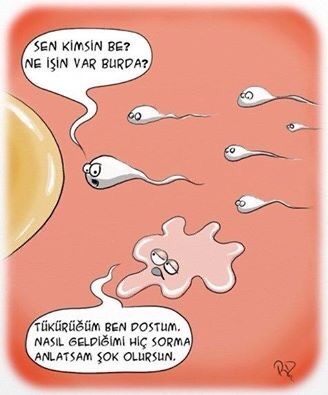 Galerinizde anlamsız fotolar var mı?