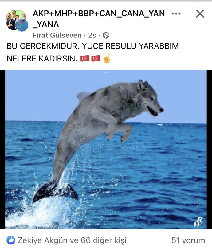 En son gülmenize sebep olan neydi?