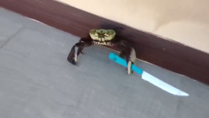 Burcunuzla gurur duyuyor musunuz?