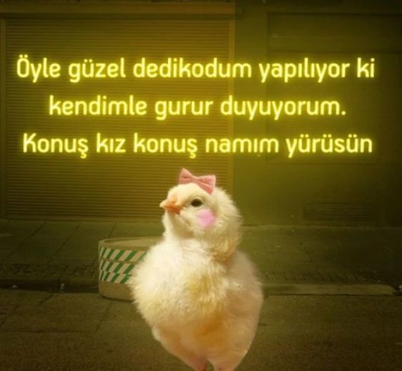 İsteyen istediği kadar konuşsun