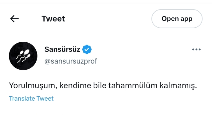 Nelere tahammülünüz kalmadı?