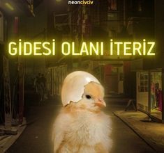 Gidesi olanı iterim