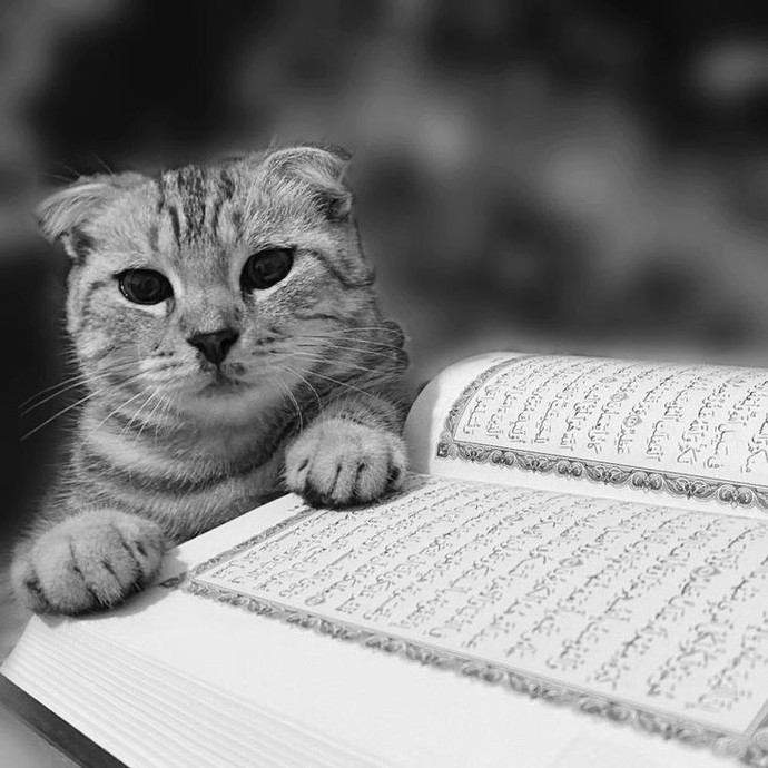 Kurandan sevdiğin bir ayet bırak✨️?