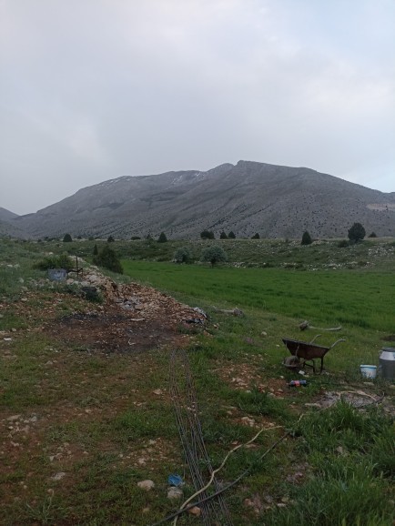 Köye geldim çok temiz bir havası var, köy hayatını sevenler var mı?