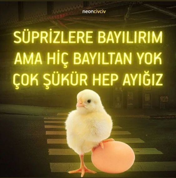 Sürpriz eden yok 