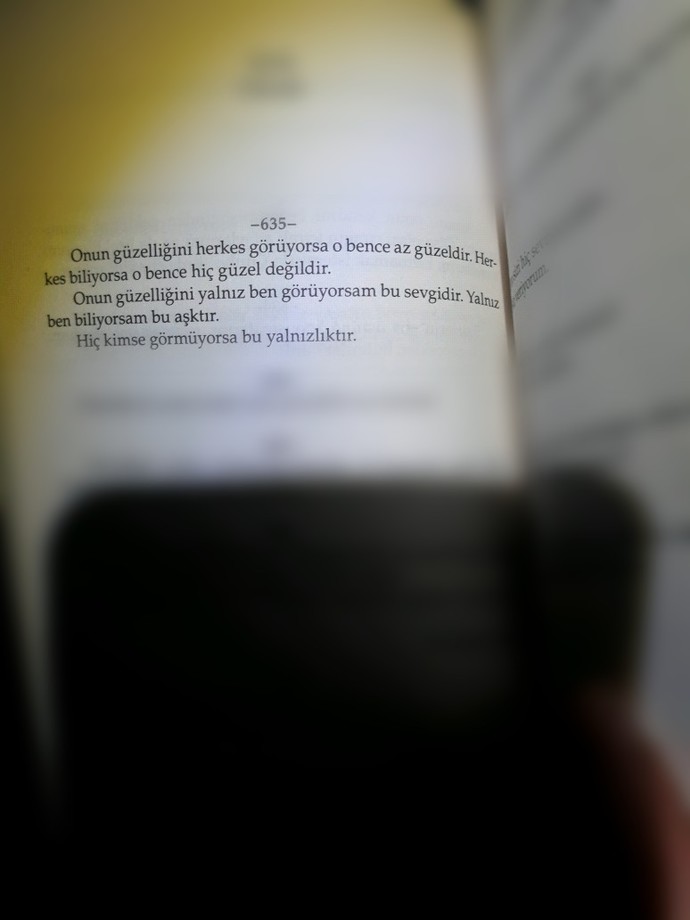 Bir kadın sevdiğiniz için mi güzeldir yoksa güzel olduğu için mi seversiniz ?