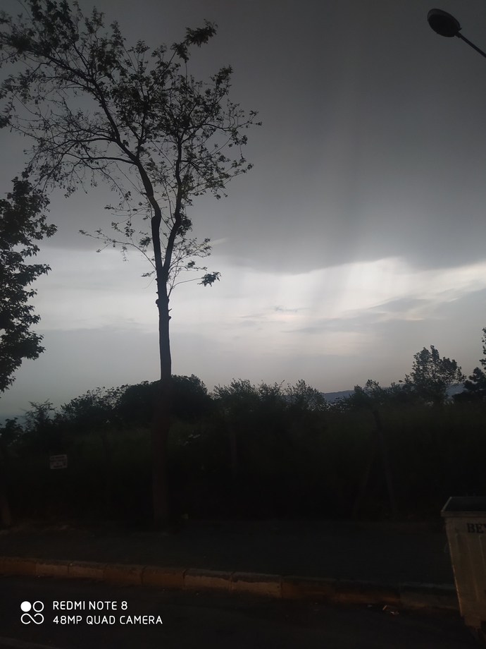 Hiç güzel doğa manzaralarını fotoğraflar mısınız?