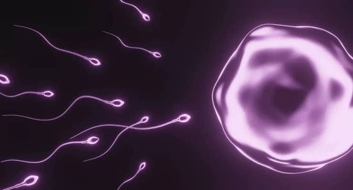 Seksten sonra kendimi dinamik hissediyorum sebebi nedir?