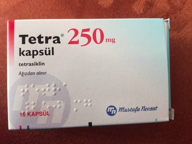 Her yolu denedim muhabbet kuşlarımın ishali geçmiyor ne yapmalıyım?
