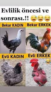 Erkekler neden evlilikten kaçar 🤔?