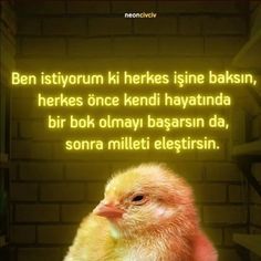 İçimden geldi