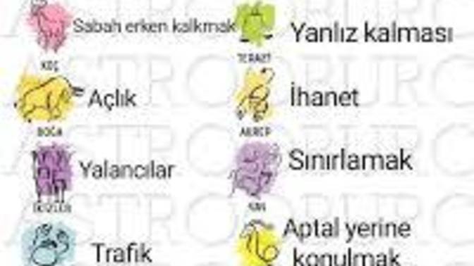 Burcunuza göre neye dayanamaz mışsınız ve bu doğru mu 😂?