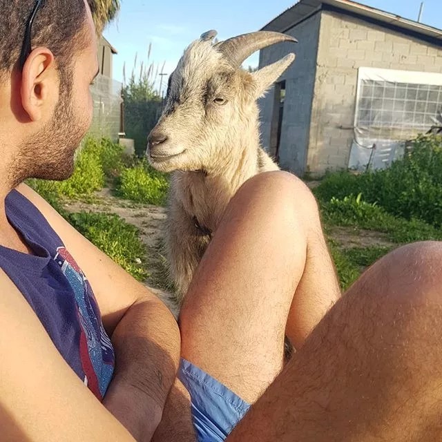 Anne kuzusu en çok erkeklermi oluyor yoksa Kızlarmı oluyor ?