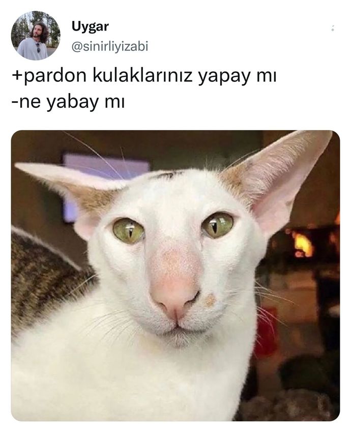 Vücudunuzda en çok iltifat aldığınız yer neresi?