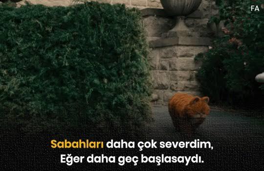 🤭