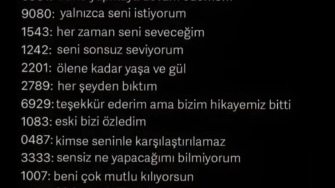 Söylemek istediğiniz şeyin numarasını yazabilir misiniz?