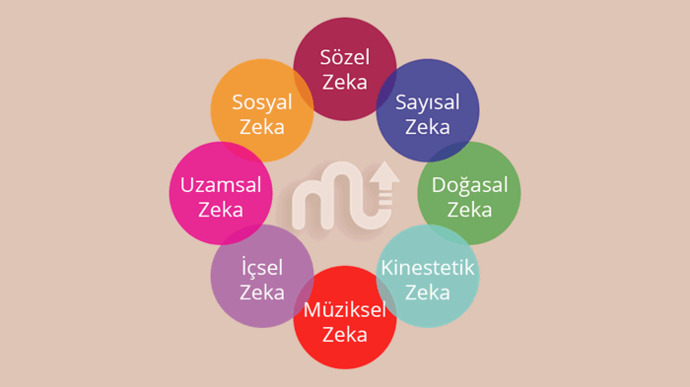 Birçok farklı zeka türü var, sizin zekanız hangi katagoride?