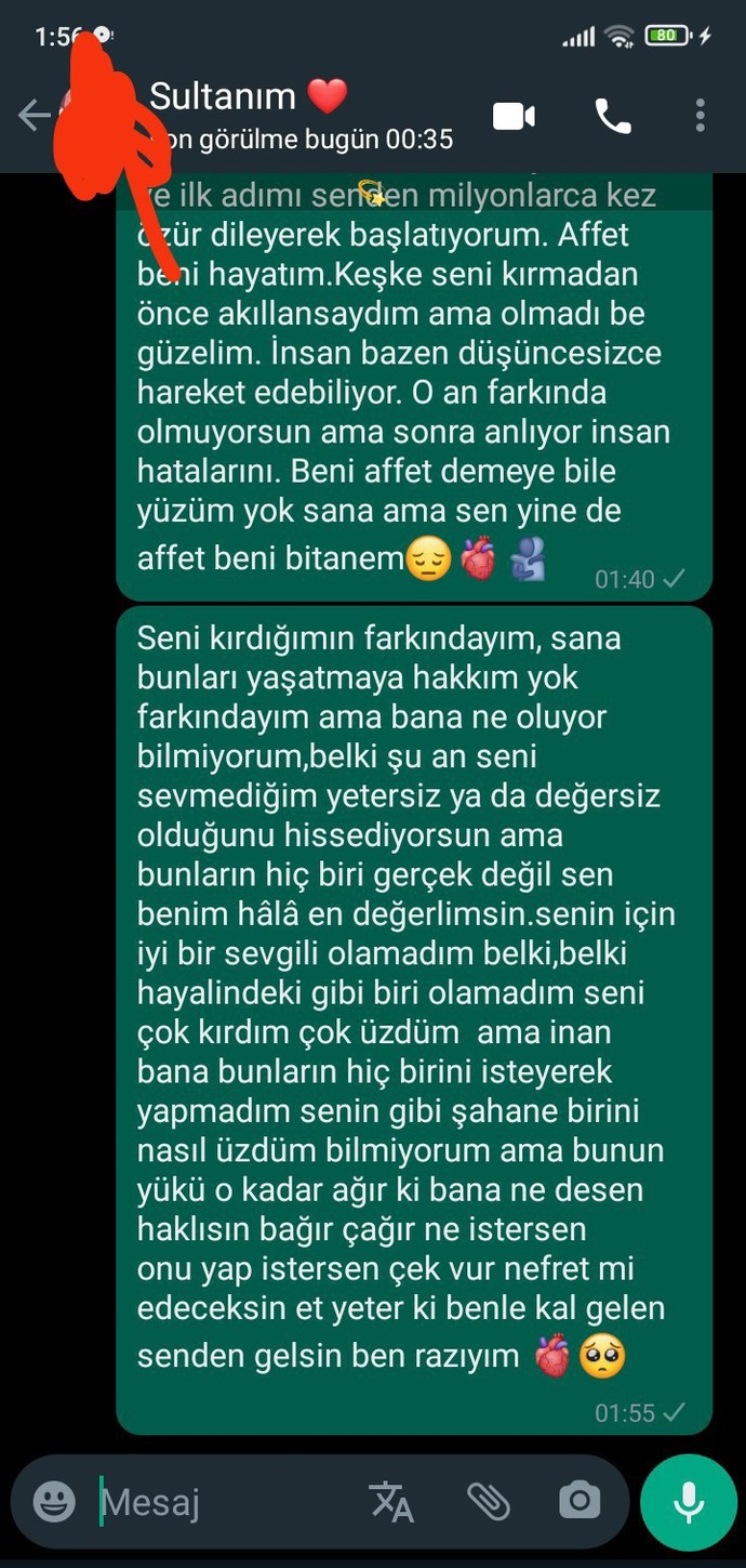 Ne yaptığımı bilmiyorum ama sevgilimi kırmışım siz olsanız ne yapardınız?