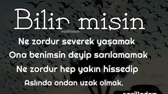 Aradığın aşkı buldun mu?