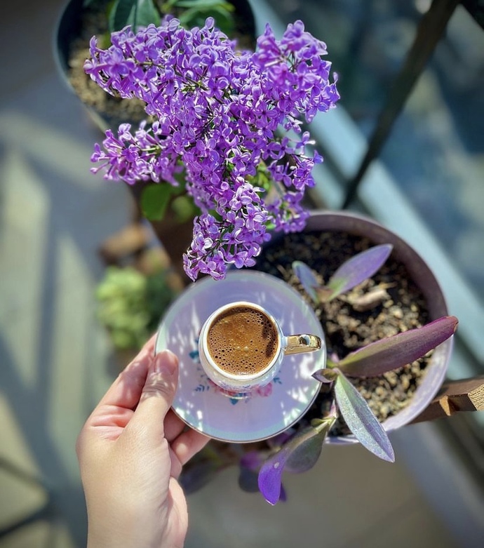 Günaydınnn..☀️  Güne çay ile mi başlayansın yoksa kahve ile mi ?