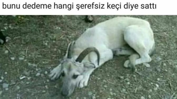 Kurban Bayramı'nda ne kesiyorsunuz?