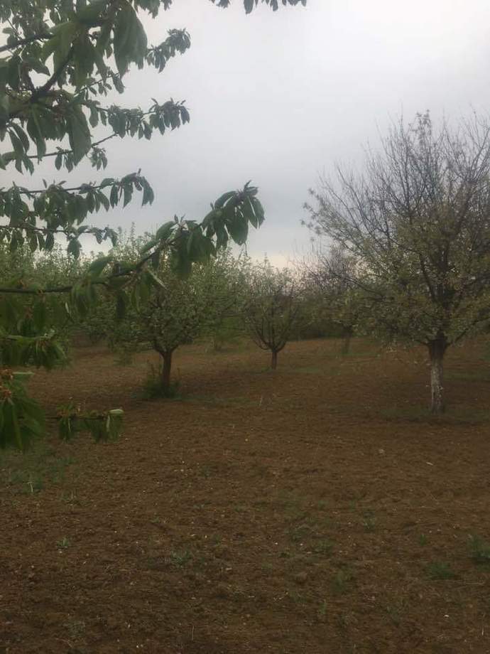 Bahçe işlerini yapmayı sever misiniz?