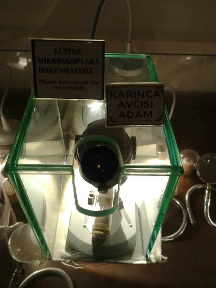 En son hangi müzeye gittiniz?