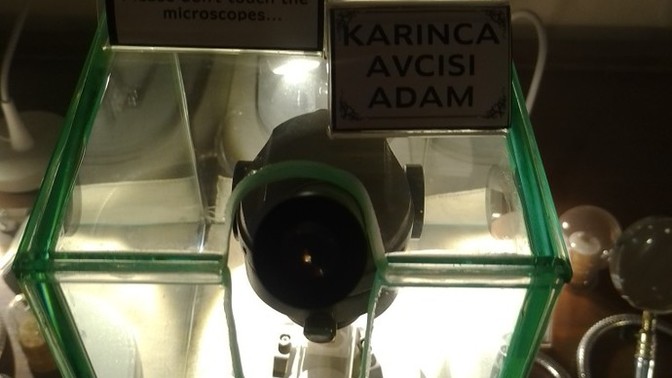 En son hangi müzeye gittiniz?