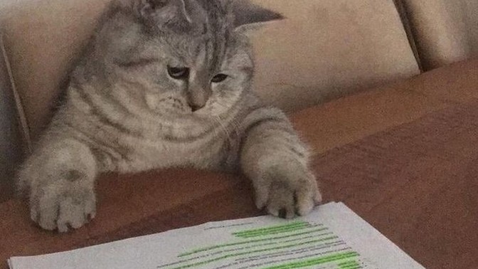 Artık neye tahammülünüz kalmadı?