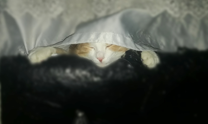 Galerinizdeki en garip fotoğrafınız ne😂?