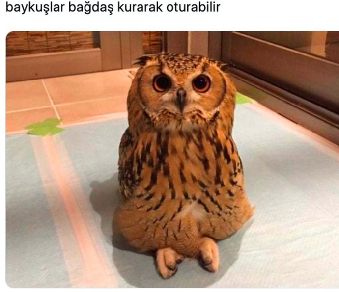 Galerinizdeki en garip fotoğrafınız ne😂?