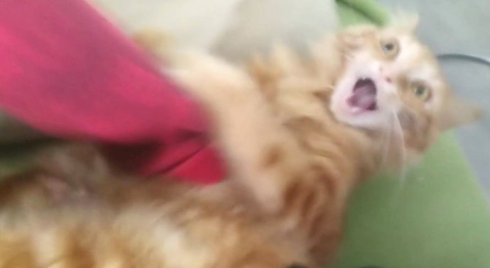 Galerinizdeki en garip fotoğrafınız ne😂?