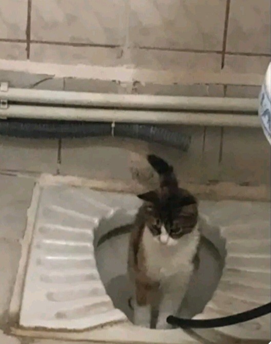 Galerinizdeki en garip fotoğrafınız ne😂?