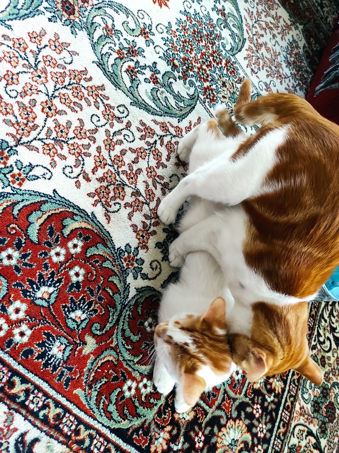 Galerinizdeki en garip fotoğrafınız ne😂?
