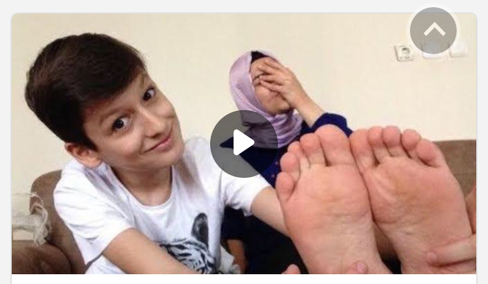 Bu videoları nereden bulabilirim?