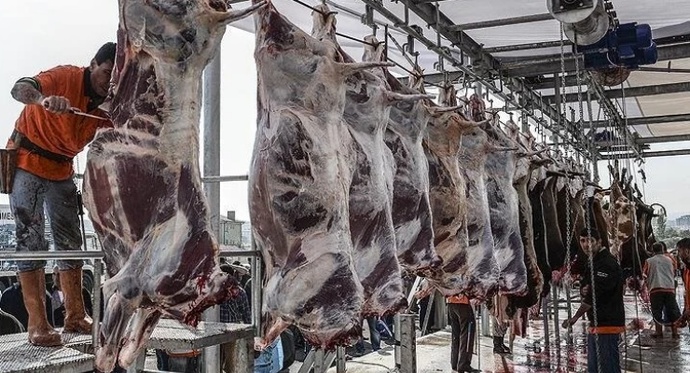 Hayvan kanının içme suyuna dönüştürülmesi hakkında ne düşünürsünüz?