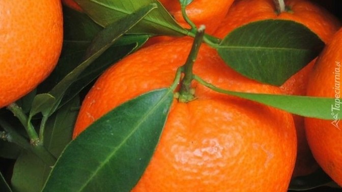 Hem kendisi, hem kabukları şifa hazinesi gibi olan bir meyve desem, aklına hangisi gelir?