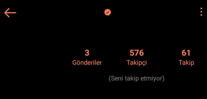 Ünlü olsaydınız sosyal medya hesaplarınız için mavi tık alır mıydınız?