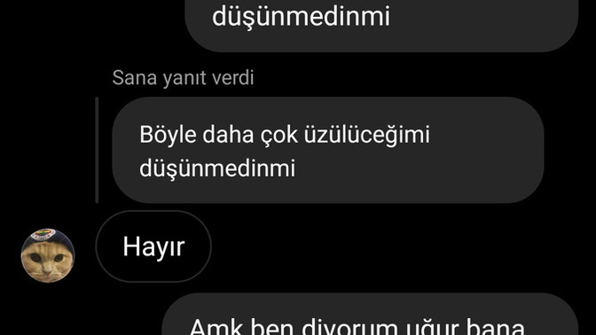Üzülürsün diye söylemedim demek geçerli bı bahanemi?