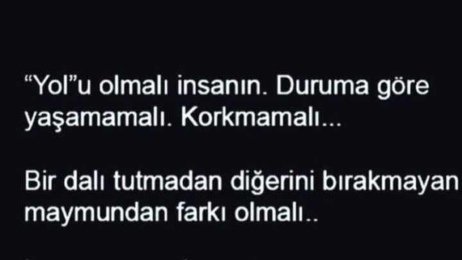 Bir insanda omurga şartmıdır?