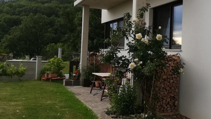 Müstakil bir evde mi yoksa modern bir apartmanda mı yaşamak isterdin?