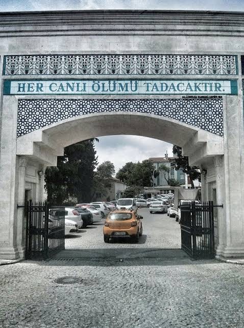 7,5 yıldır benimle olan kedimi canımı evladımı bugün yatağımda ölü buldum sabah oyun oynuyordu, bu acıya nasıl dayanacağım?