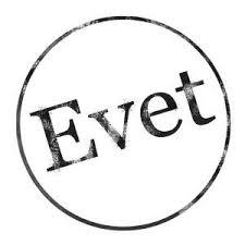 2. turda oyunuzu kime vereceksiniz (Anketli) ?