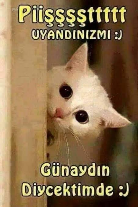 İyi dileklerde bulunmak, karşıdakini iyi hissettirir mi?